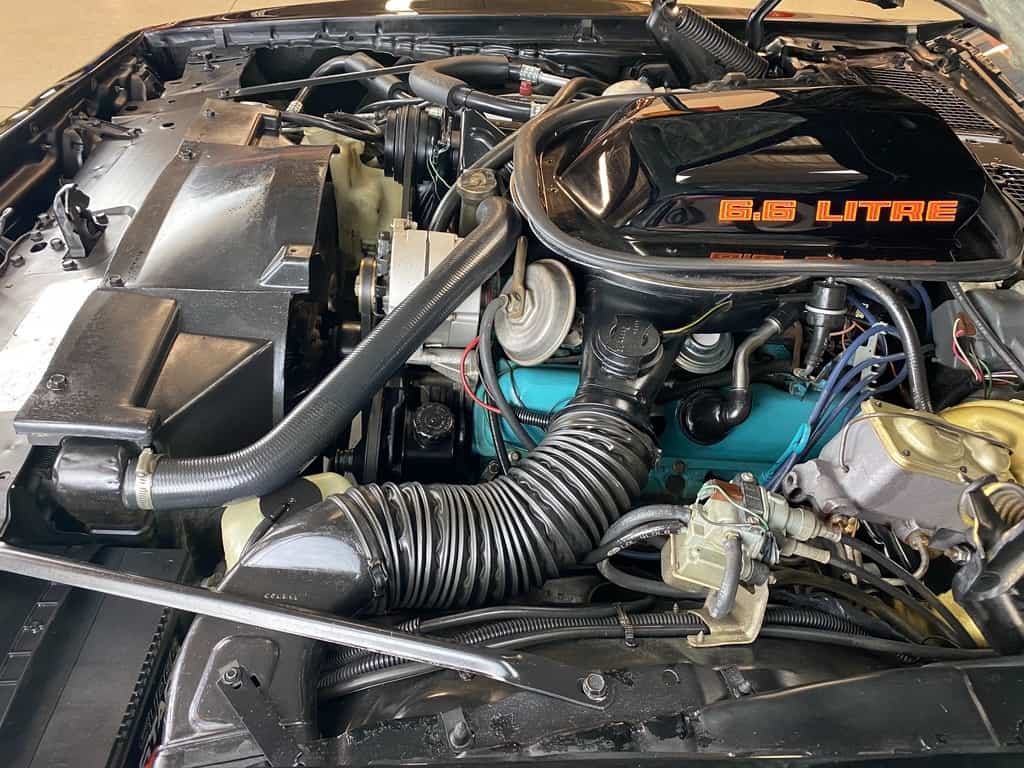 1979 pontiac firebird trans am for sale classifieds 92
