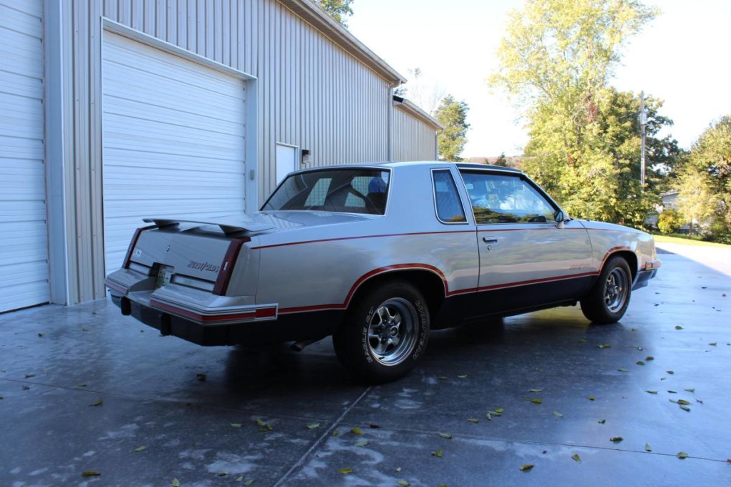 tommy bahama table runner