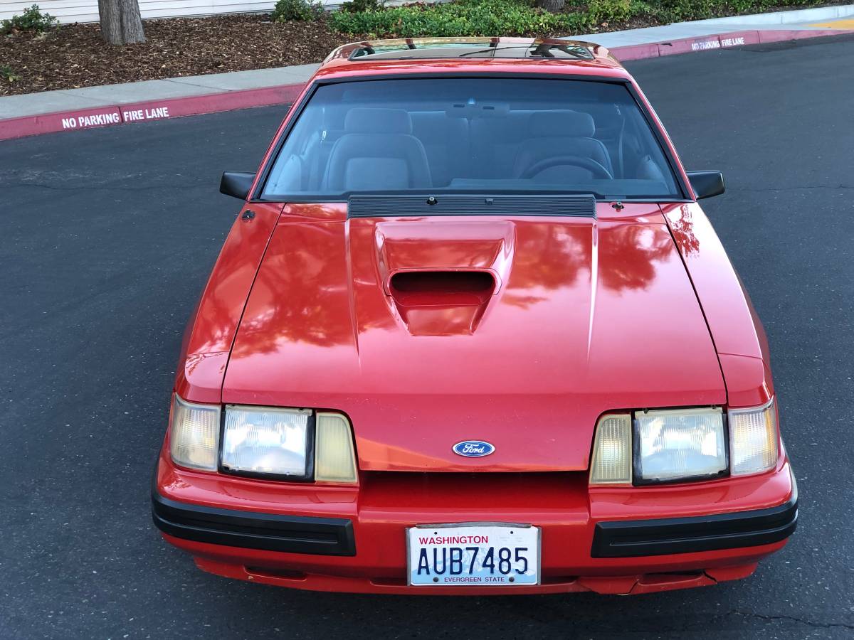 1986 ford mustang svo turbo jalepeno red for sale classifieds 7