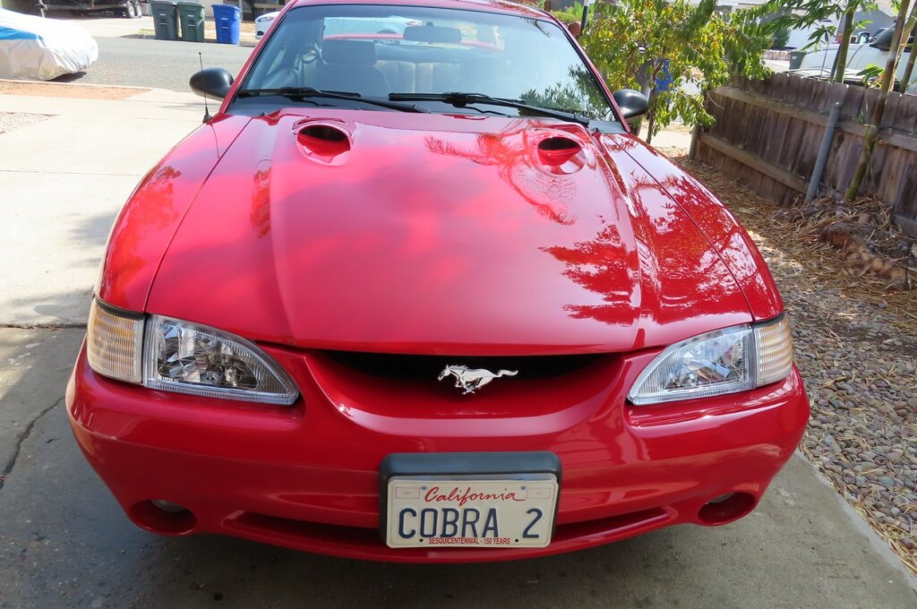 1997 ford mustang svt cobra coupe rio red for sale classifieds 5