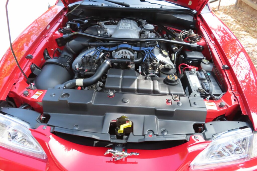 1997 ford mustang svt cobra coupe rio red for sale classifieds engine bay